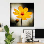 Gele kosmosbloem - fijn Poster (Thuiskantoor)