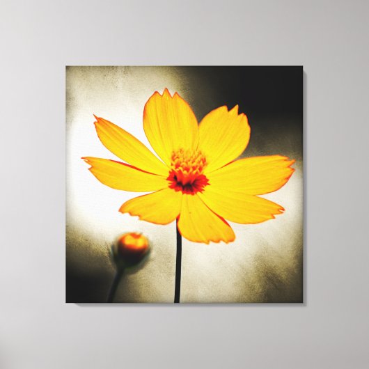 Gele kosmosbloem - Kunstschildpad Canvas Afdruk (Voorkant)