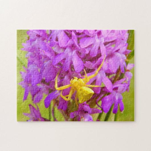 Gele Krabspin Foto Puzzel met Cadeau Doos (Horizontaal)