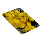 Gele krokusbloemen magneet (Rechterzijde)