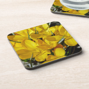 Gele krokusbloemen onderzetter