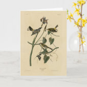 Gele kroon Warbler - Amerikaanse vogels van Audubo Kaart (Gele Bloem)