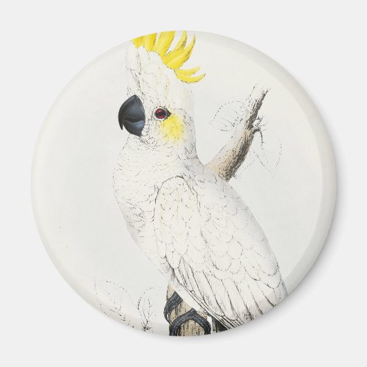Gele kuifkaketoe magneet (Voorkant)
