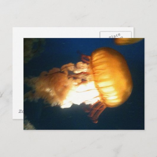 Gele kwal briefkaart (Voorkant / Achterkant)