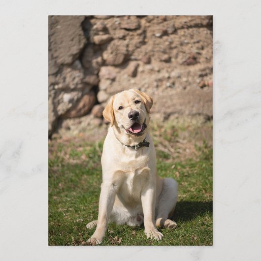 Gele Lab Bar Menu (Achterkant)