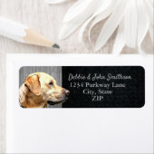 Gele lab Dog Return Address Animal Cute Etiket (Insitu)