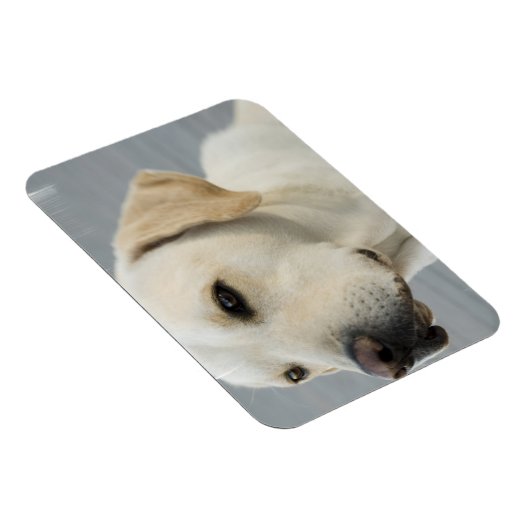 Gele Lab flexibele magneet (Rechterzijde)