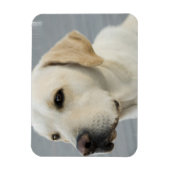 Gele Lab flexibele magneet (Verticaal)