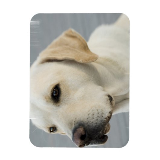 Gele Lab flexibele magneet (Verticaal)