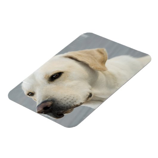 Gele Lab flexibele magneet (Linkerzijde)