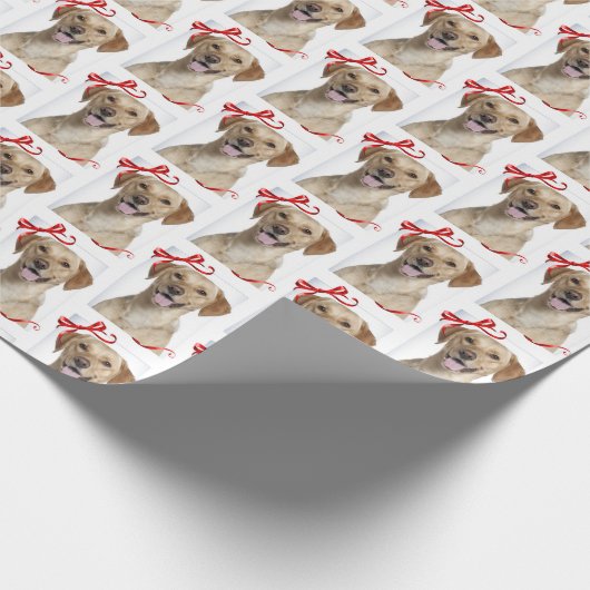 Gele lab Gift Wrap Cadeaupapier (Hoek)