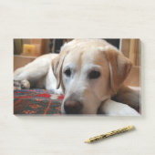 Gele Lab ligt Post-it® Notes (Op bureau)