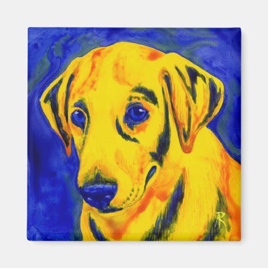 Gele Lab magneet - "Archie" (Voorkant)