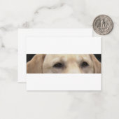 gele lab ogen notitiekaartje (Voorkant / Achterkant in situ)