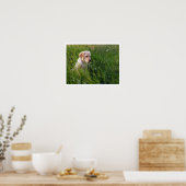 Gele Lab Puppy in hoog gras Poster (Keuken)