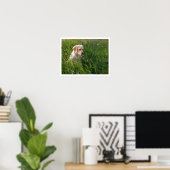 Gele Lab Puppy in hoog gras Poster (Thuiskantoor)