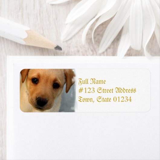 Gele Lab Puppy Mailing Label (Insitu)