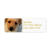 Gele Lab Puppy Mailing Label (Voorkant)