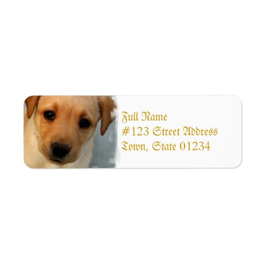 Gele Lab Puppy Mailing Label (Voorkant)