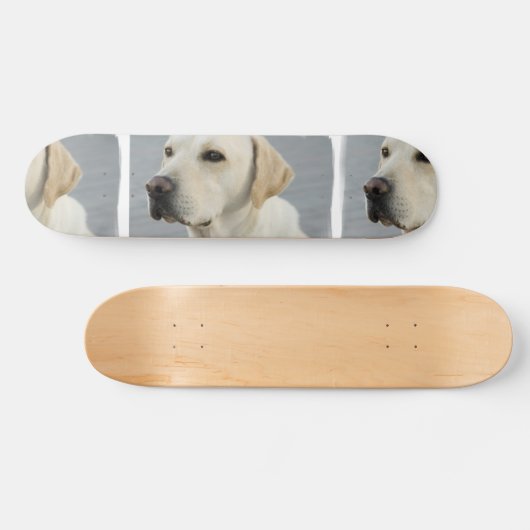 Gele lab skateboard (Horizontaal)