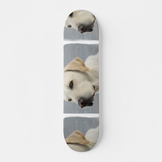 Gele lab skateboard (Voorkant)