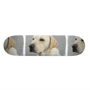Gele lab skateboard