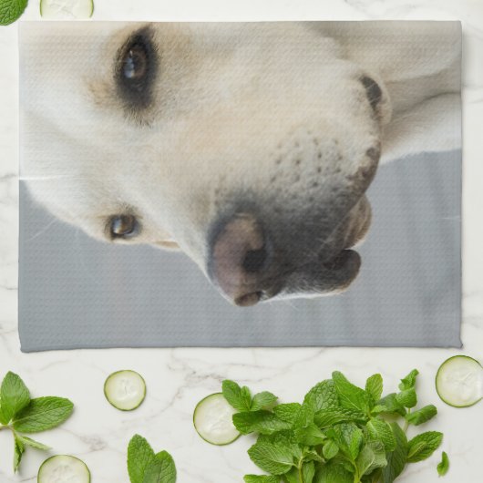 Gele lab Towel Theedoek (Gevouwen)