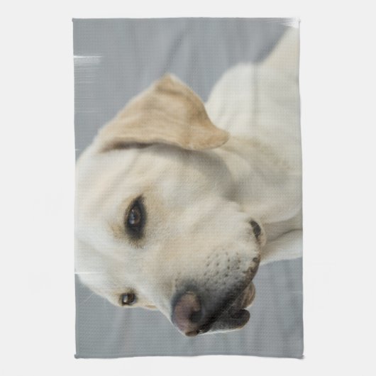 Gele lab Towel Theedoek (Verticaal)