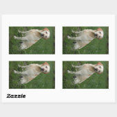 Gele Lab zit Rechthoekige Sticker (Vel)