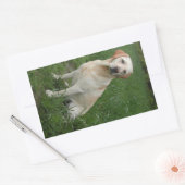 Gele Lab zit Rechthoekige Sticker (Envelop)