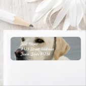 Gele lablabels etiket (Insitu)