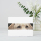 gele laboratoriumogen briefkaart (Staand voorkant)