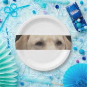 gele laboratoriumogen papieren bordje (Feest)