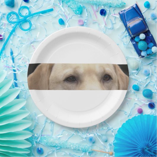 gele laboratoriumogen papieren bordje (Feest)