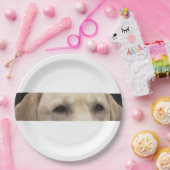 gele laboratoriumogen papieren bordje (Feest)