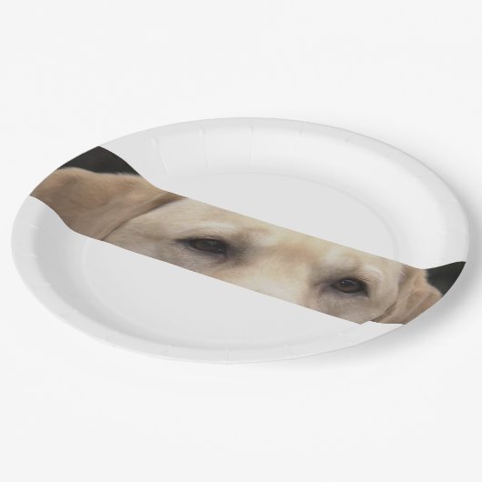 gele laboratoriumogen papieren bordje (Gekanteld)