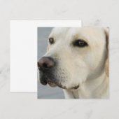 gele laboratoriumuitvindingen kaart (Voorkant / Achterkant)