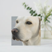 gele laboratoriumuitvindingen kaart (Staand voorkant)