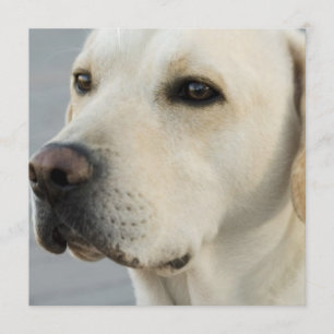 gele laboratoriumuitvindingen kaart