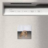Gele labpuppy onder bed magneet (Insitu (Vaatwasser))