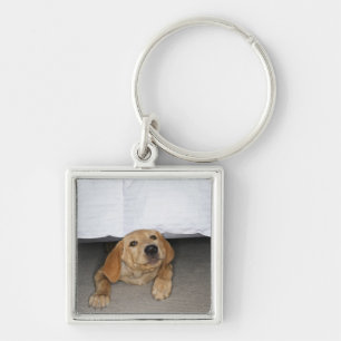 Gele labpuppy onder bed sleutelhanger