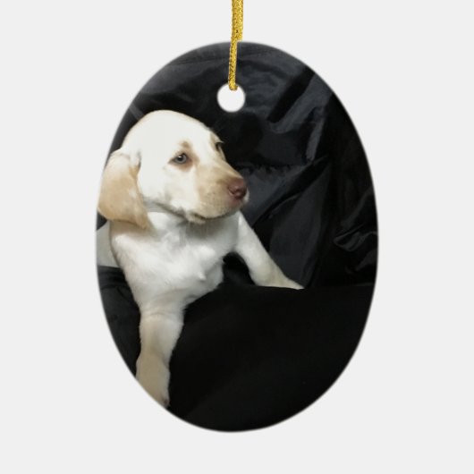 Gele labpuppy Sadie Keramisch Ornament (Voorkant)