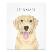 Gele Labrador Art Foto Afdruk (Voorkant)