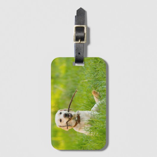 Gele labrador bespeelt zich op een stok bagagelabel (Voorkant (verticaal))