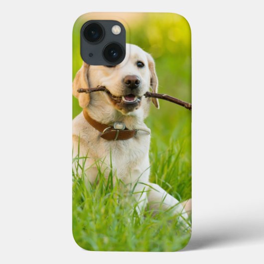Gele labrador bespeelt zich op een stok Case-Mate iPhone case (Achterkant)