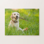 Gele labrador bespeelt zich op een stok legpuzzel (Horizontaal)