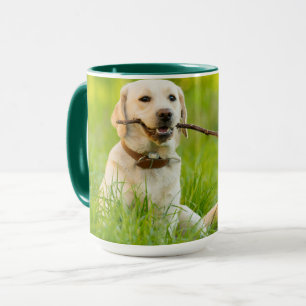 Gele labrador bespeelt zich op een stok mok
