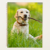 Gele labrador bespeelt zich op een stok planner (Voorkant)