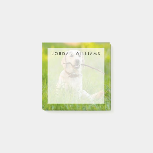 Gele labrador bespeelt zich op een stok post-it® notes (Voorkant)