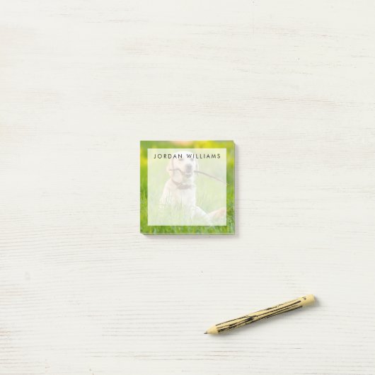 Gele labrador bespeelt zich op een stok post-it® notes (Op bureau)